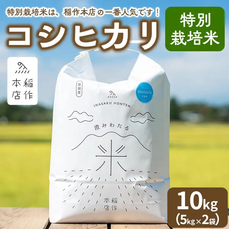 【令和7年産】特別栽培米 コシヒカリ 10kg（5kg×2袋） 〔P-289〕 | こしひかり 米 お米 コメ こめ 精米 濃厚 甘い 国産 那須 栃木県 那須町 ※2025年10月下旬頃より順次発送予定