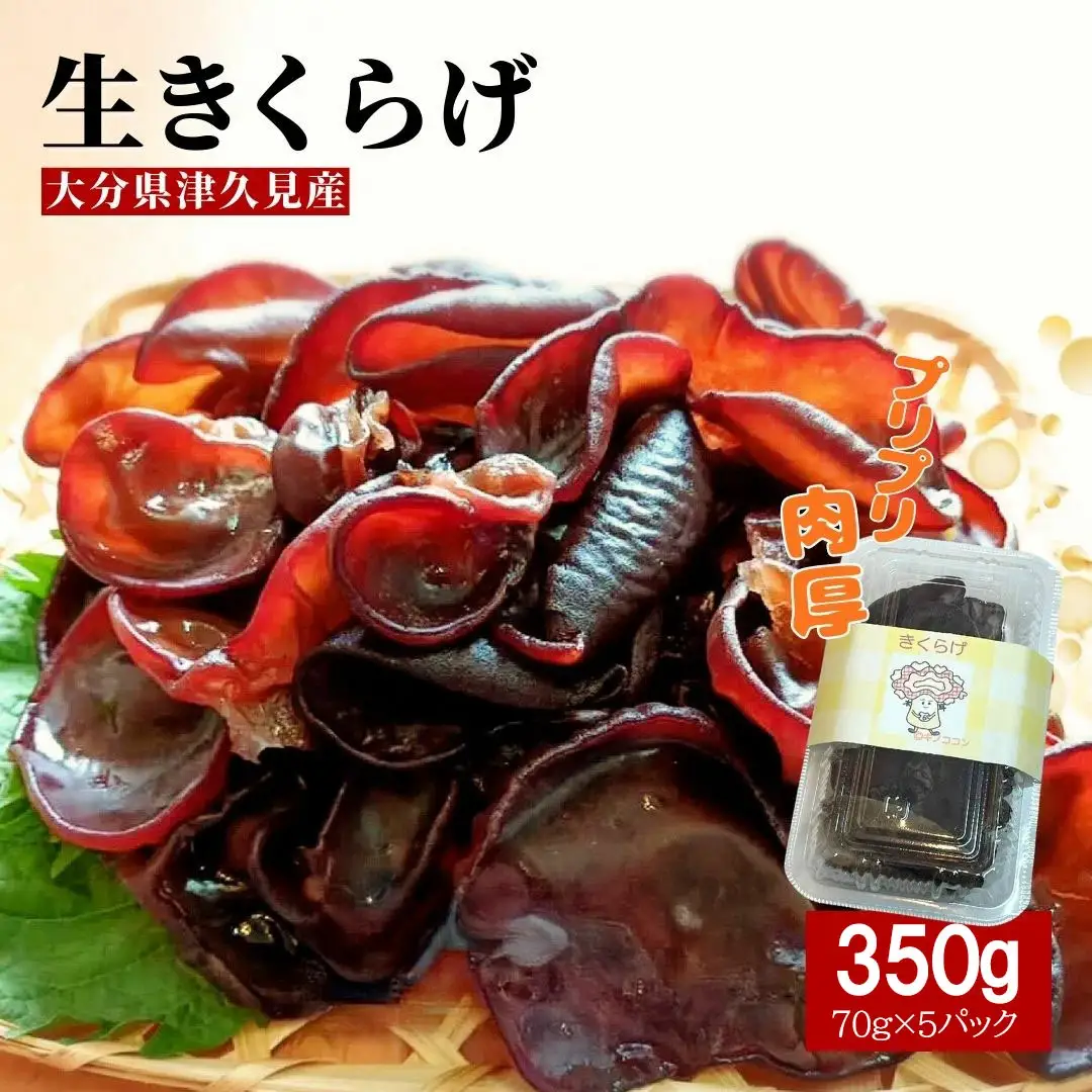 木耳 肉厚生きくらげ　70g×5パック（350g）| 津久見市
