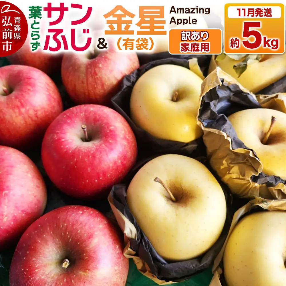 【26年11月下旬発送】りんご 葉取らずサンふじ＆金星（有袋）【訳あり】家庭用 約5kg 紅白セット