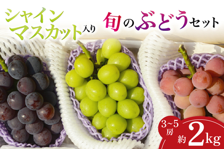 【産地直送】シャインマスカット等の旬のぶどう詰め合わせ 2kg（シャインマスカット ぶどう ブドウ 果物 セット 詰め合わせ フルーツ 贈答用 限定）