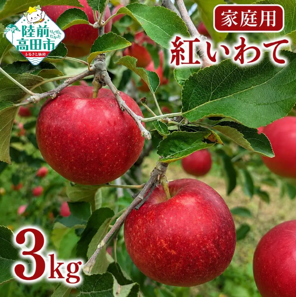 【先行予約】 家庭用りんご 3kg 品種：紅いわて 訳あり りんご