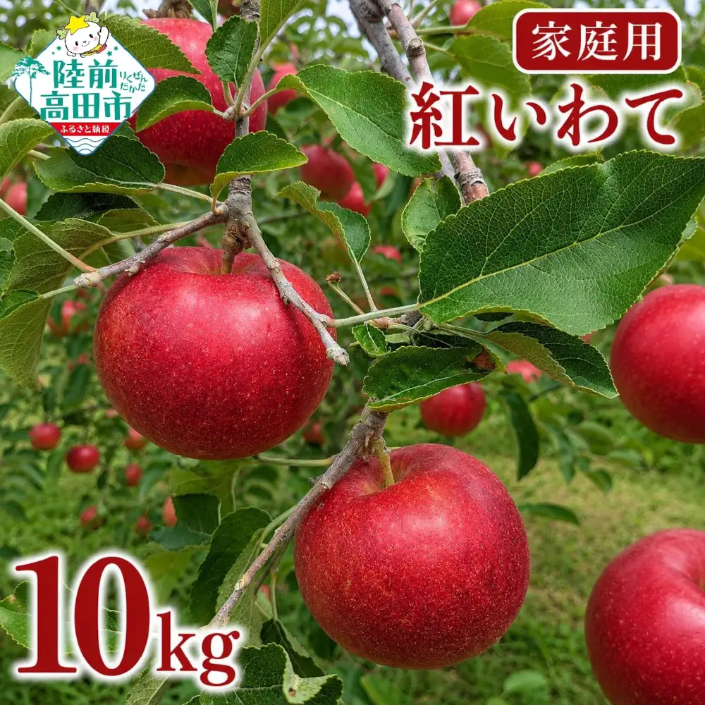 【先行予約】 家庭用りんご 10kg 品種：紅いわて 訳あり りんご