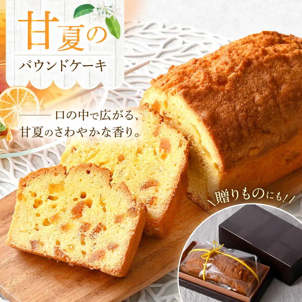 【波佐見から届く心温まる味】甘夏のパウンドケーキ 【るなんのお菓子】[SG01]