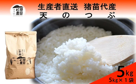 【令和7年度産】 米 天のつぶ 5kg 白米 精米 ※沖縄・離島への配送不可