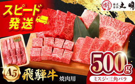 【A5等級】 飛騨牛 ミスジ・三角バラ 500ｇ 焼肉用 特上カルビ 多治見市 / 飛騨牛の丸明 冷凍 和牛 希少部位 赤身 霜降り BBQ[THL004]