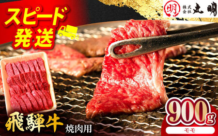 飛騨牛 モモ 900g 焼肉用 多治見市 / 飛騨牛の丸明 冷凍 和牛 赤身 霜降り[THL006]