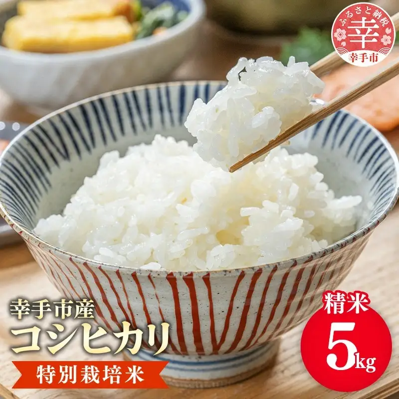 【令和7年産】有機肥料 100％ 埼玉県幸手市産特別栽培コシヒカリ 精米 5kg - 2025年10月1週目より順次発送 新米発送 コシヒカリ こしひかり 米 精米 5kg 有機肥料 特別栽培米 幸手市産 埼玉県 幸手市