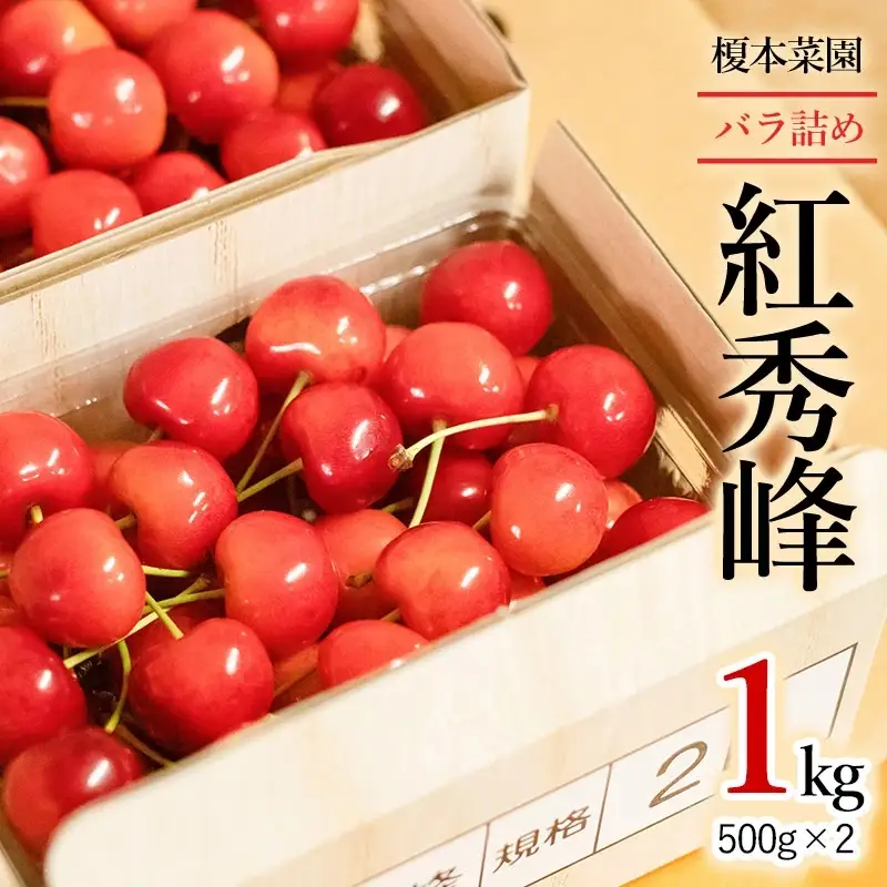 【令和9年産】さくらんぼ 紅秀峰 (2Lサイズ以上) バラ詰め 1kg (500g×2) 榎本菜園 K-969