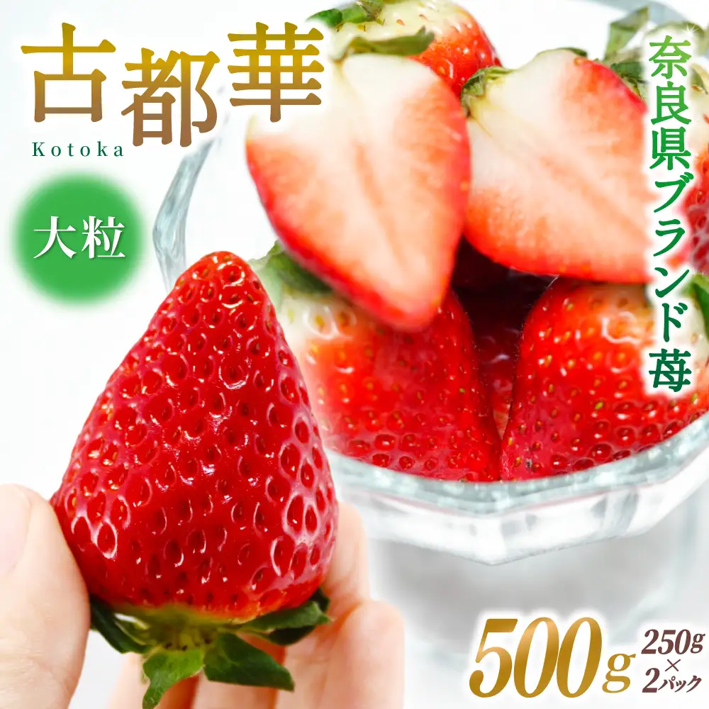 ブランド苺 新鮮 古都華 (大粒) 約500g [250g×2パック] 【2027年1月上旬～5月下旬に順次発送】【smlk001】