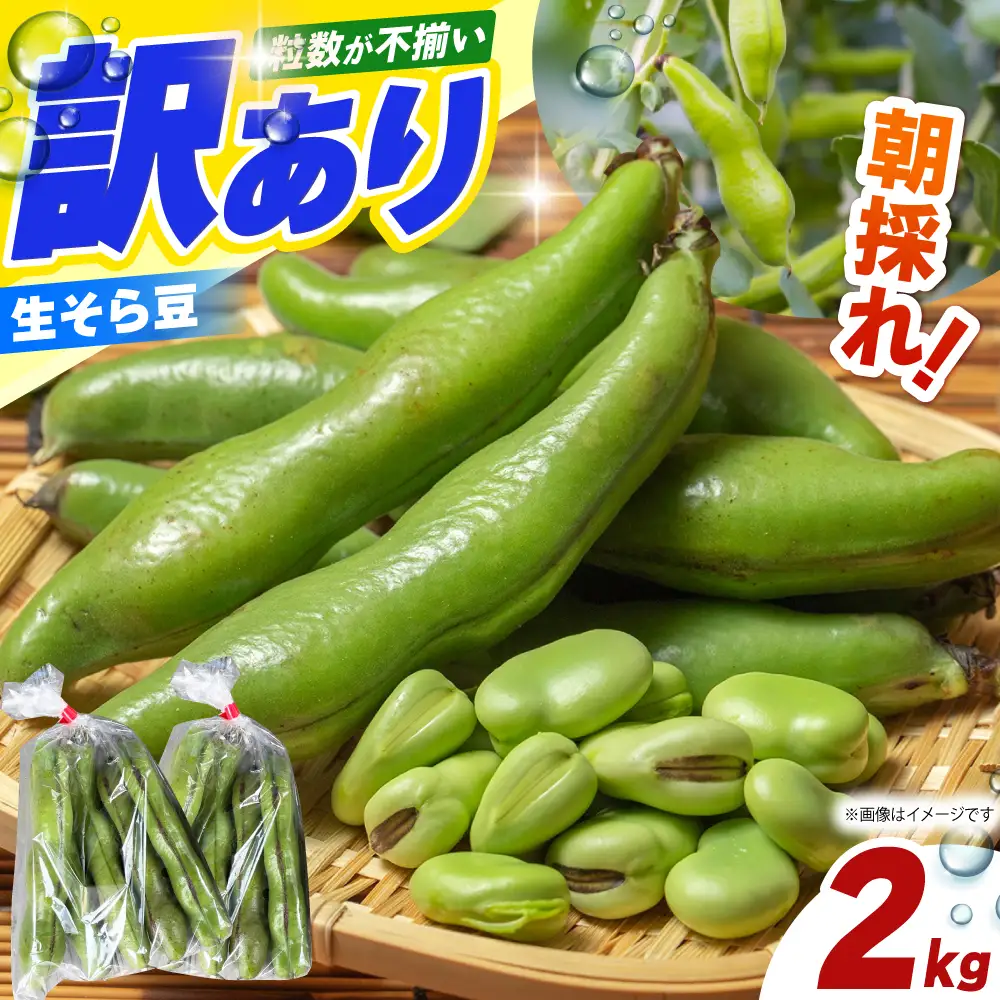 【朝採れ】 訳あり 生そら豆 2kg 【にしやまファーム】 新物 さや付き そら豆[HDI002]