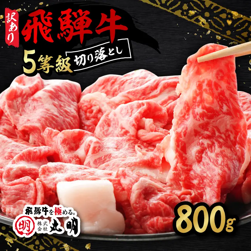 【訳あり】飛騨牛5等級　切り落とし用途いろいろ　800g【配送不可地域：離島】【1668211】