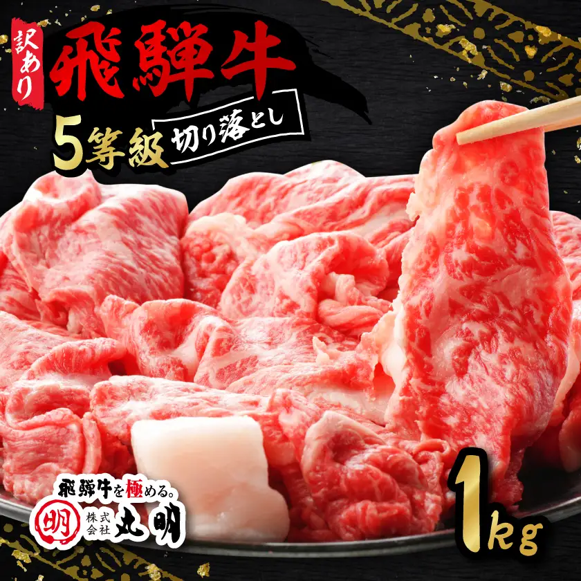 【訳あり】飛騨牛5等級　切り落とし用途いろいろ　1kg【配送不可地域：離島】【1668213】