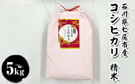 石川県七尾市産 コシヒカリ 精米 5Kg | 米 ※2026年10月～発送