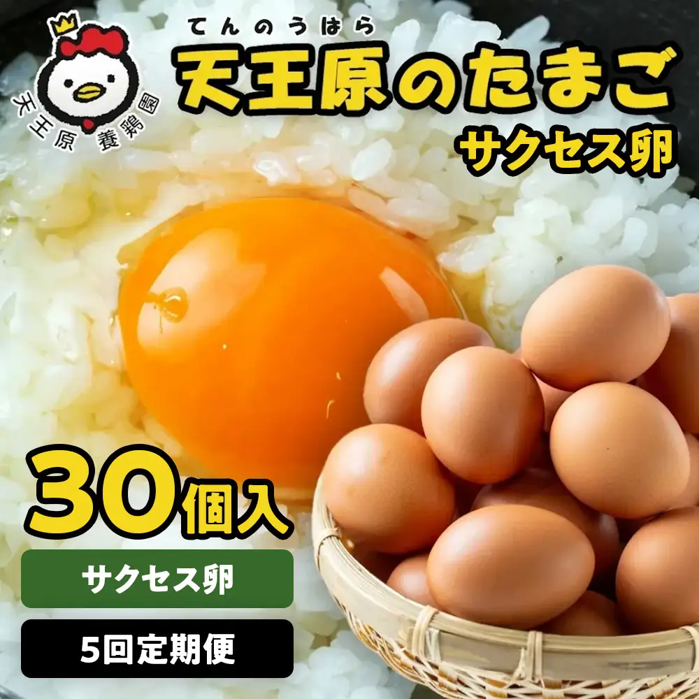 【定期便】5回定期 【天王原のたまご】サクセス卵 30個入り