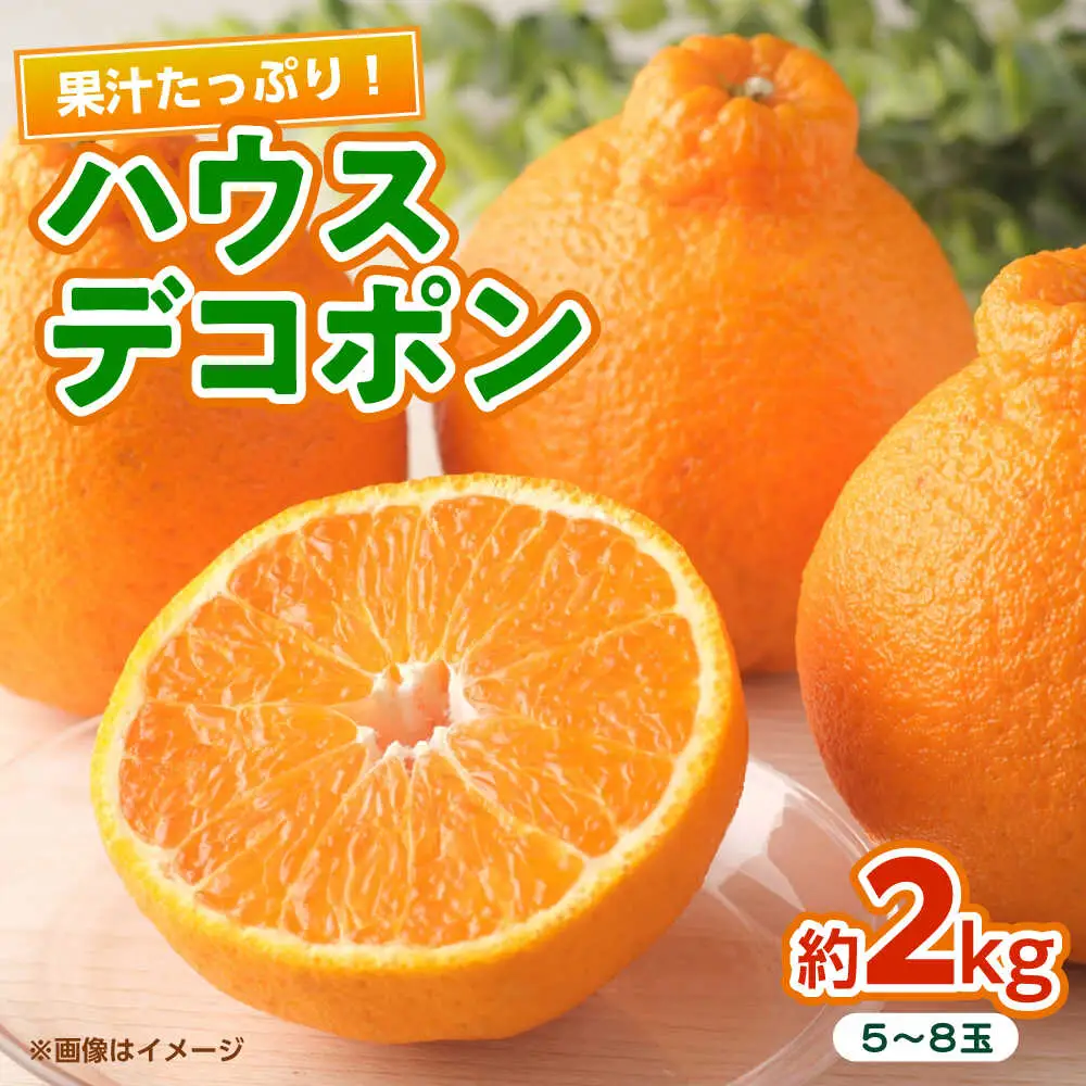 ハウスデコポン　約2kg 【くまふる】[ZBG081]