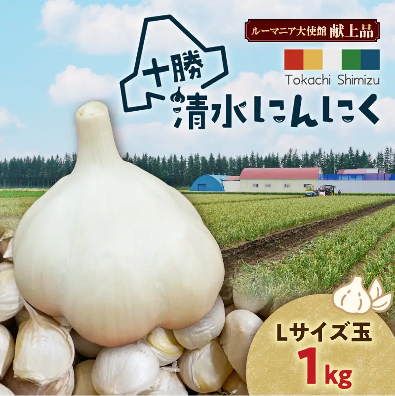 【北海道産】十勝育ちのにんにく Lサイズ(玉) 1kg _S021-0021