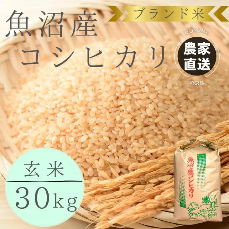 令和8年産 ブランド米 魚沼産コシヒカリ 玄米 30kg 米 こしひかり 新潟