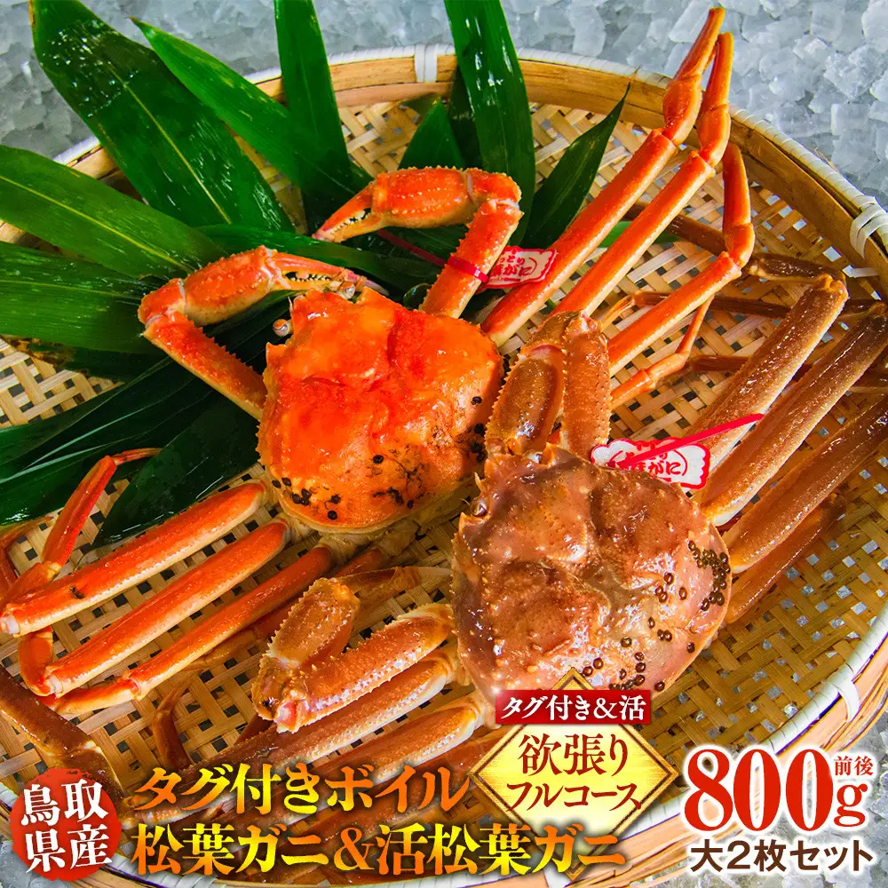 鳥取県産　タグ付きボイル松葉ガニと活松葉ガニの欲張りフルコース大2枚セット   | カニ 松葉ガニ 活 美味しさに 訳あり 大容量 　(800g前後)　※2026年11月上旬～2027年3月下旬頃に順次発送予定