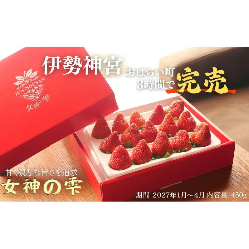 いちご 先行予約 女神の雫 450g 2027年 いちご