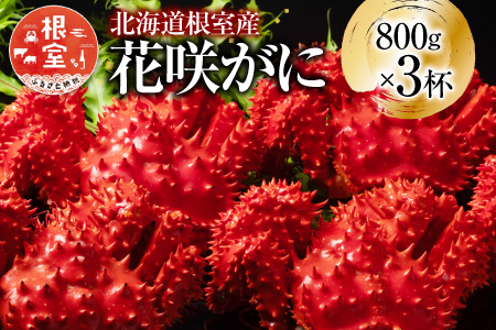 【北海道根室産】花咲かに800g×3尾(計2.4kg) D-20012