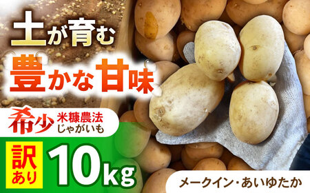 【訳あり】ジャガイモ(品種ミックス)　10kg / 諫早市 / 未来ファーム[AHEY005]