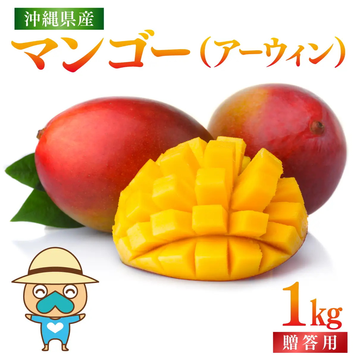 ＜先行予約＞宮平農園のマンゴー1kg【アーウィン・贈答用】 I  マンゴー まんごー トロピカルフルーツ フルーツ ギフト限定 アーウィン  1000g 1kg   沖縄県 南城市 ふるさと納税 合同会社宮平農園
