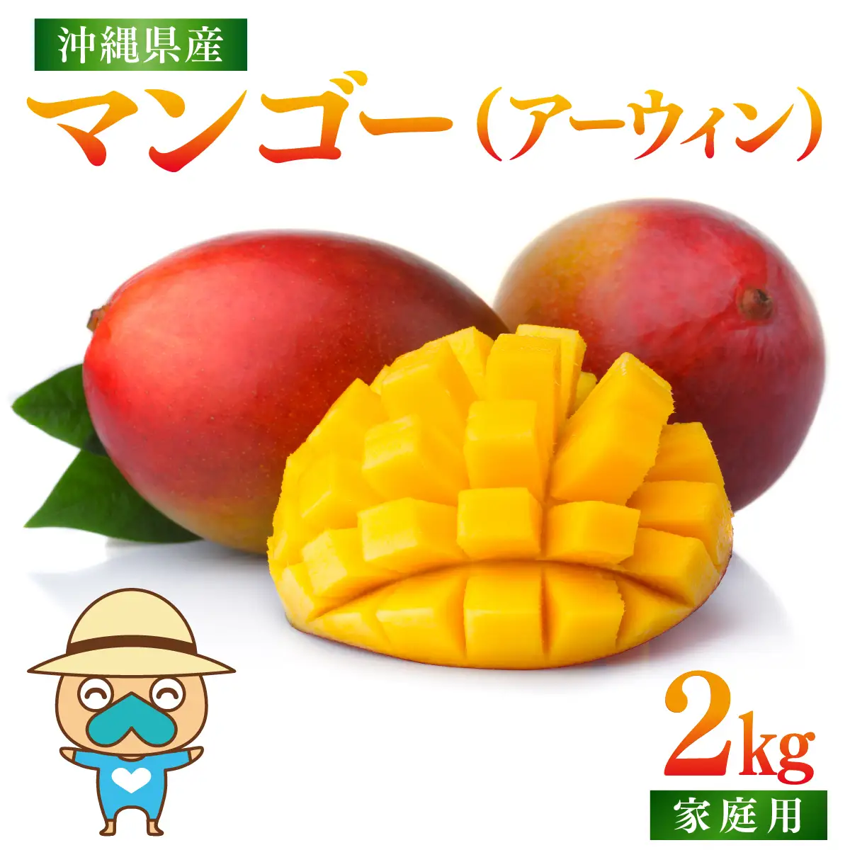 ＜先行予約＞宮平農園のマンゴー2kg【アーウィン・家庭用】 I  マンゴー まんごー トロピカルフルーツ フルーツ ギフト 限定 アーウィン 2000g 2kg   沖縄県 南城市 ふるさと納税 合同会社宮平農園