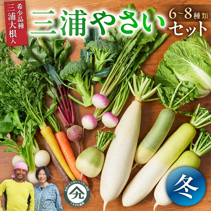 ボリューム 満点 ！ 季節の野菜 詰め合わせ（ 冬 ） M001-004-02 野菜 三浦野菜 先行予約