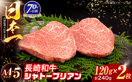 長崎和牛 シャトーブリアンステーキ 120g×2枚[OCA081]