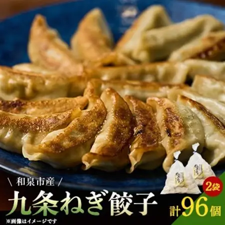 大阪府和泉市産の九条ネギを使用した冷凍餃子　48個入×2パック(計96個)　道の駅で大好評!【配送不可地域：離島】【1182130】