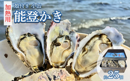 能登かき　殻付き小缶(加熱用)  | 牡蠣 魚介類 訳あり 生活応援価格 ご家庭用 石川県 七尾市 復興支援 ※2027年1月～発送