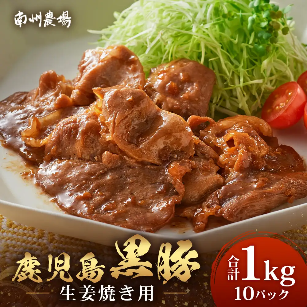鹿児島県産 黒豚生姜焼きセット（100g×10パック）味付き肉 冷凍 NS-23 | 鹿児島 黒豚 かごしま黒豚 お肉 肉 豚肉 しょうが焼き 焼くだけ 味付き おかず お弁当 加工肉 真空パック 鹿児島県 南大隅町 南州農場
