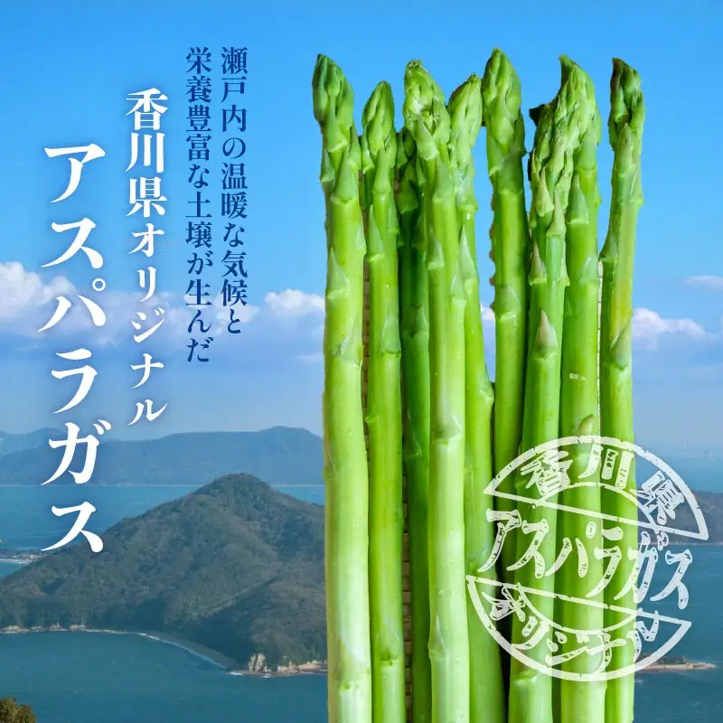 さぬきのめざめ　1kg