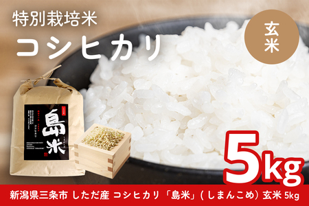 先行予約 特別栽培米 コシヒカリ5kg 玄米 新潟県 三条市 令和8年産