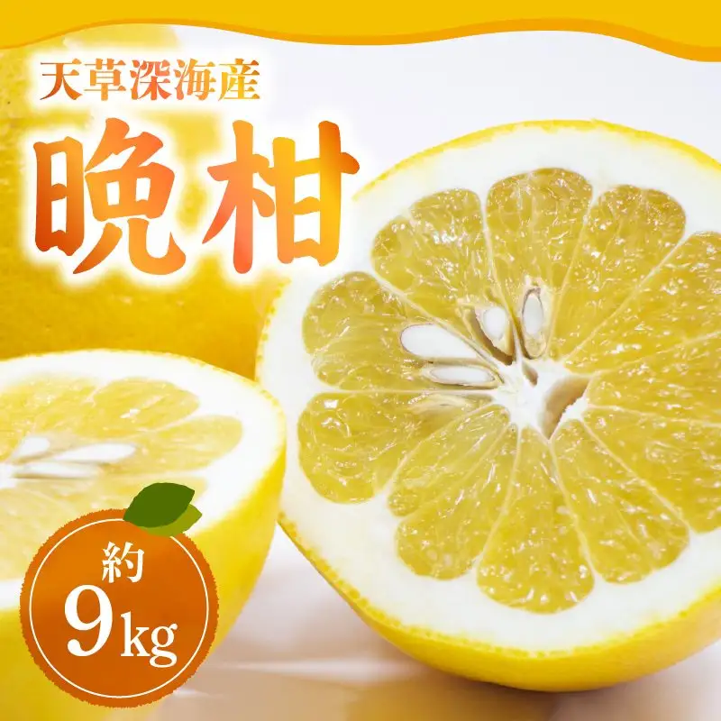 S062-001A_【天草深海産】晩柑 約9㎏【先行受付】 / 晩柑 柑橘 みかん フルーツ