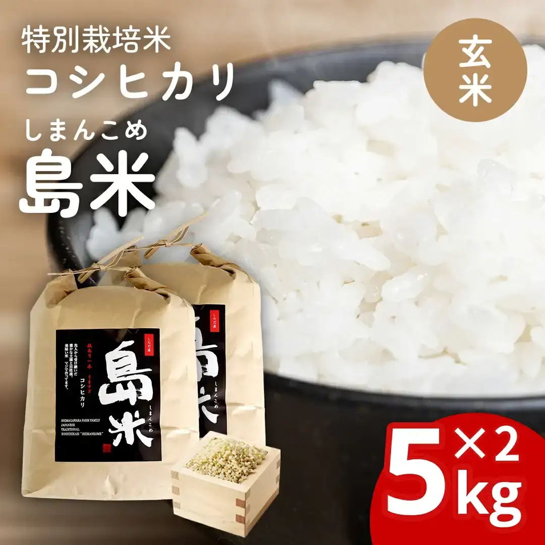 先行予約 特別栽培米 コシヒカリ10kg 玄米 新潟県 三条市 令和8年産