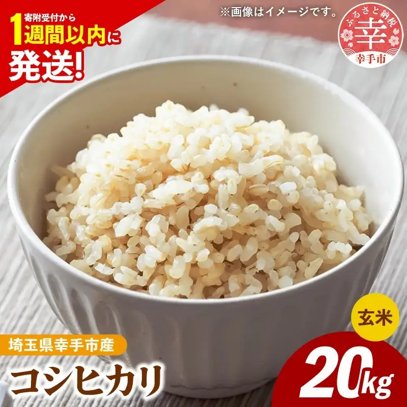 令和7年産 幸手市産 コシヒカリ 玄米20kg 色彩選別済 Brown Rice - お米 米 こしひかり 玄米 20kg 埼玉県 幸手市