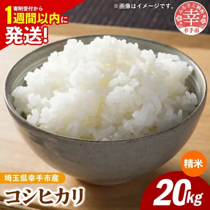 令和7年産 幸手市産 コシヒカリ 白米20kg 色彩選別済 White Rice- お米 米 こしひかり 精米 20kg 埼玉県 幸手市