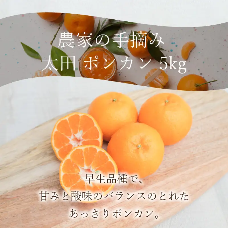 S040-005A_農家の手摘み 太田 ポンカン 5kg〈先行受付〉/ ポンカン ぽんかん 柑橘 みかん フルーツ