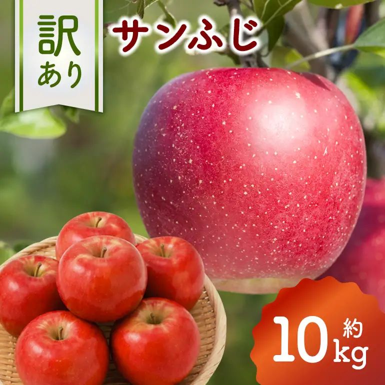 訳あり りんご (サンふじ) 約10kg 037-0797x1