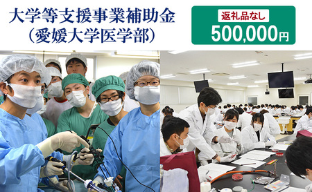 【お礼の品なし】大学等支援事業補助金（愛媛大学医学部）　500,000円