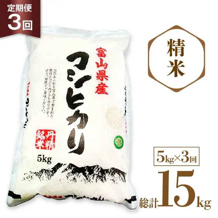 米 令和8年産 コシヒカリ 精米 5kg 3回 定期便