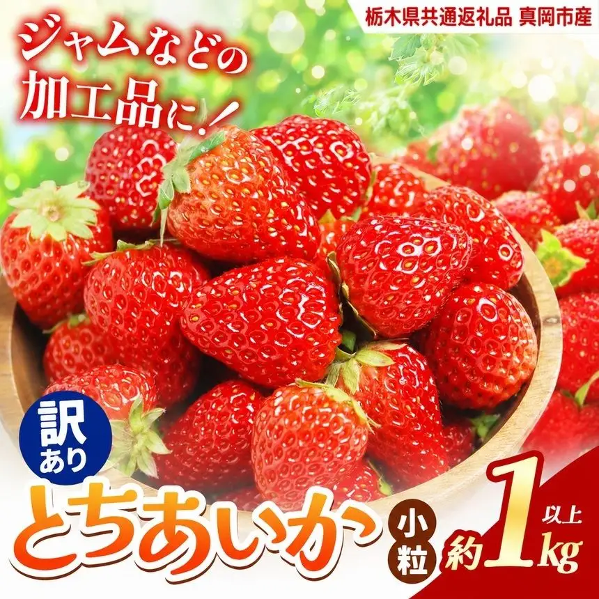いちご 訳あり サイズランダム とちあいか1kg以上【2027年先行予約】 | 苺 イチゴ 栃木県共通返礼品 真岡市産 栃木県矢板市