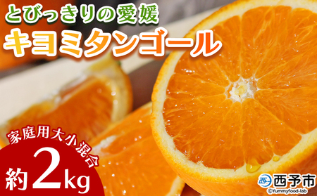 先行予約 ＜とびっきりの愛媛 キヨミタンゴール 約2kg（家庭用大小混合）＞ 訳あり 家庭用 果物 柑橘 フルーツ みかん 蜜柑 オレンジ 清見タンゴール 特産品 片山果樹園 食べて応援 西宇和 愛媛県 西予市【常温】『2027年3月中旬～3月下旬迄に順次出荷予定』MKK0010
