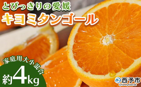 先行予約 ＜とびっきりの愛媛 キヨミタンゴール 約4kg（家庭用大小混合）＞ 訳あり 家庭用 果物 柑橘 フルーツ みかん 蜜柑 オレンジ 清見タンゴール 特産品 片山果樹園 食べて応援 西宇和 愛媛県 西予市【常温】『2027年3月中旬～3月下旬迄に順次出荷予定』MKK0011