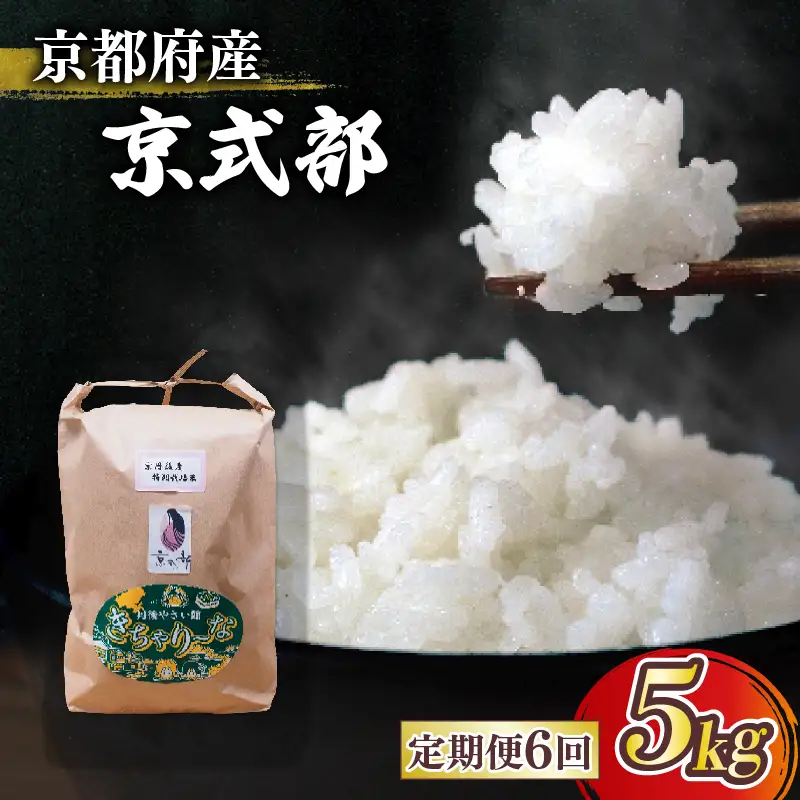 【令和8年産】新米 定期便 京都府産米 京式部 5kg 6回定期便 ブランド米 京都