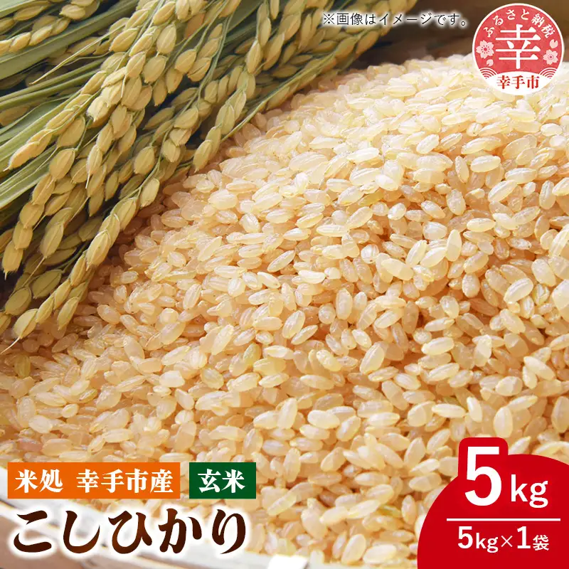 令和7年幸手産 こしひかり【玄米】5㎏×1袋 - コシヒカリ 玄米 5kg 令和7年産 埼玉県 幸手市 幸手市産