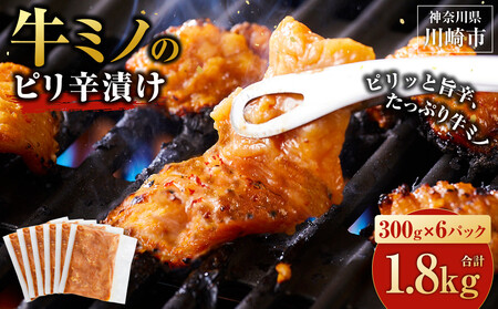 ホルモン 牛ミノ ピリ辛漬 1.8kg 【10月発送】 ホルモン