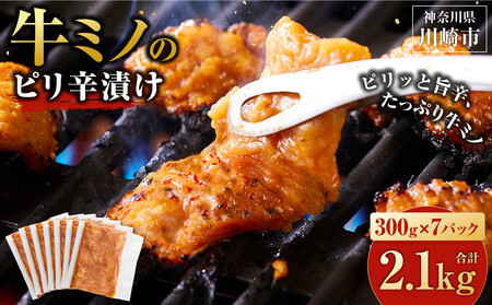 ホルモン 牛ミノ ピリ辛漬 2.1kg 【10月発送】 ホルモン