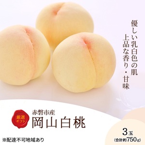 桃 先行予約 岡山 白桃 3玉 約750g 化粧箱 果物 フルーツ もも モモ 桃